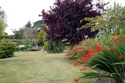 Garden view.JPG